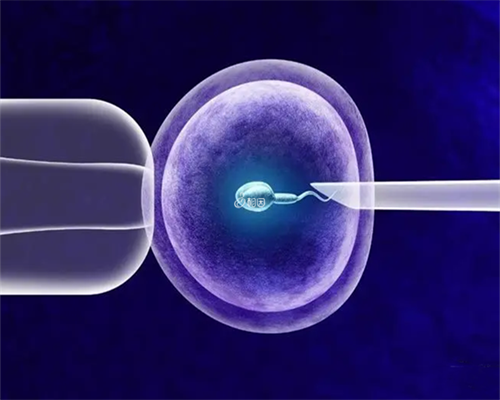 <strong>大连试管婴儿供卵费用详解与助孕机构选择指南</strong>