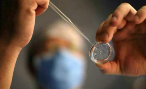 大连试管婴儿费用及助孕机构选择指南