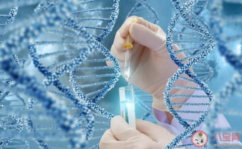 热门试管婴儿医院推荐与成功率解析