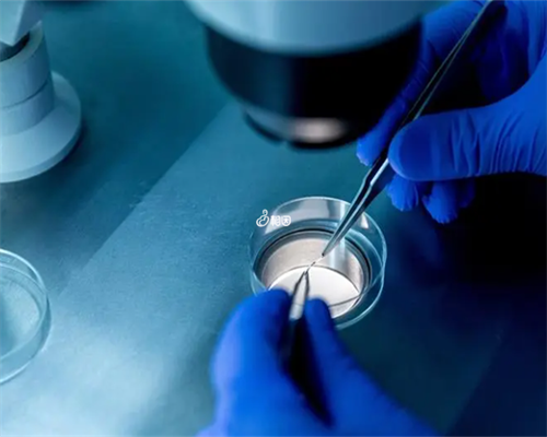 2026年借卵试管生男孩费用明细及注意事项