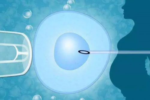 2026年三代试管婴儿医院排名及成功率详情解析