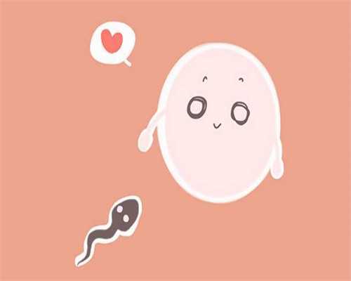 大连第三代试管婴儿成功率与代生服务解析