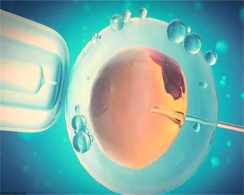 <strong>大连中考备考指南与名校升学规划</strong>