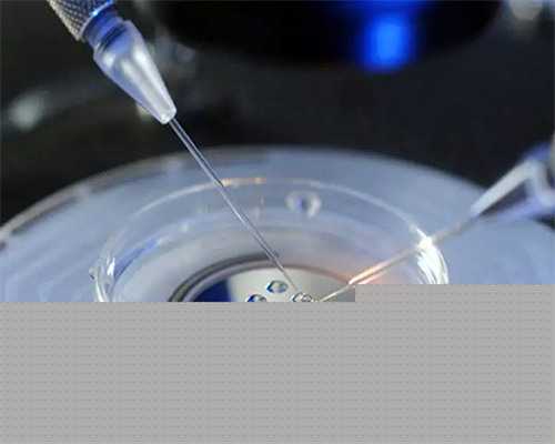 顶尖供卵试管婴儿医院排行榜及费用成功率解析