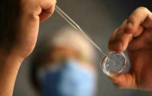 大连妇幼与大连附一哪家医院更适合进行三代供卵试管婴儿治疗？