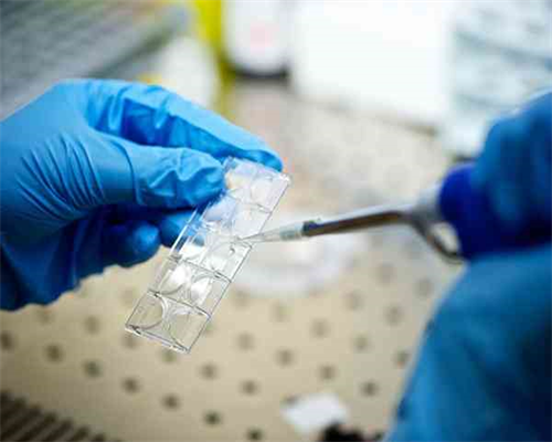 大连市妇女儿童医疗中心：专业助孕与代生服务指南