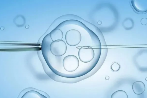 上海三代试管婴儿技术：深度对比与选择指南