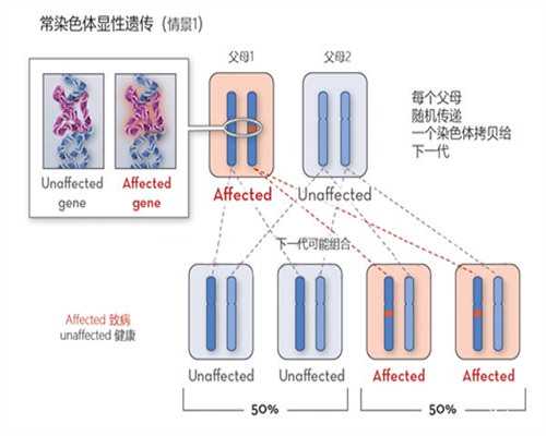 2026年试管助孕机构排名与卵源等待时间解析