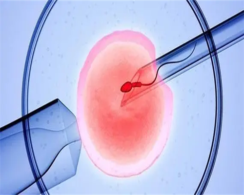 大连三代试管婴儿费用解析与医院选择指南