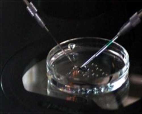 全面解析三代试管婴儿技术：助孕家庭如何选择？