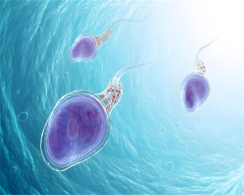 如何选择试管婴儿医院及方法指南