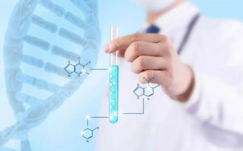 大连与四川三代供卵试管助孕对比及费用成功率分析