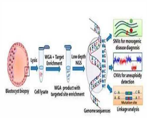2026年试管婴儿医院排名及费用成功率深度解析