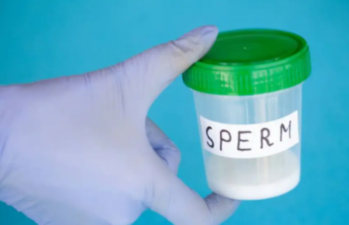 大连三代供卵试管婴儿医院排名及成功率详情解析