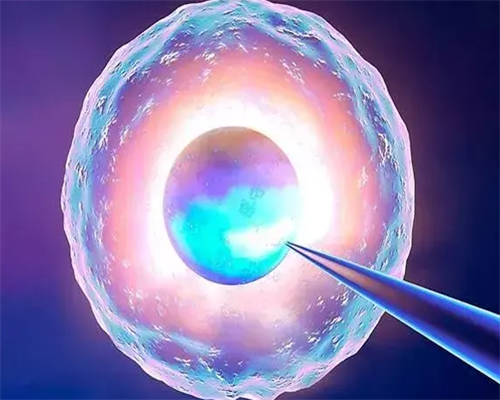 大连第三代试管婴儿成功率解析与医院选择指南