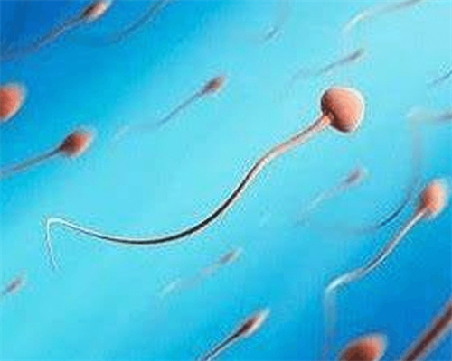第三代试管大连能做么(大连能做第三代试管婴儿)