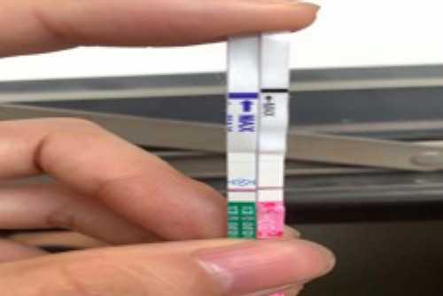 第三代试管婴儿费用解析及影响因素