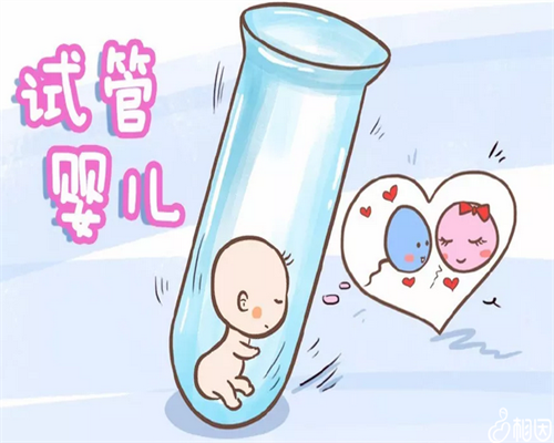 大连三代供卵试管婴儿医院排名与成功率详情解析