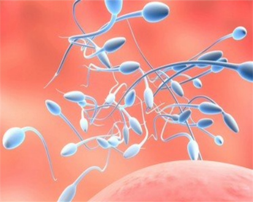 2026年试管助孕机构排名揭晓！附医院卵源等待详情