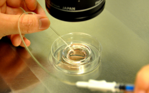 <strong>揭秘国内试管婴儿费用及流程：一次助孕之旅</strong>