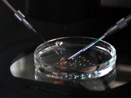 大连试管婴儿移植手术：专家提醒注意事项与术后保养指南