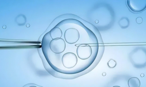 试管助孕医院选择指南：成功案例分享与推荐