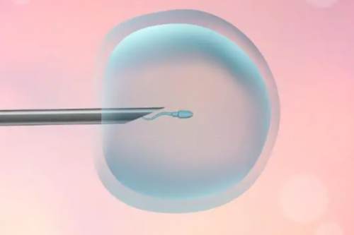 2026大连试管助孕机构排名及医院卵源等待时间详解