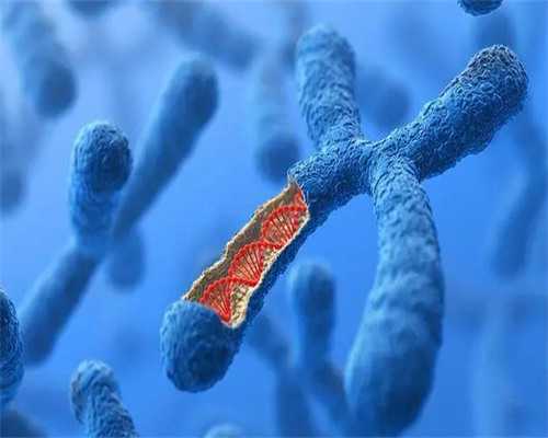 大连精子检查与捐献服务指南及助孕相关资讯