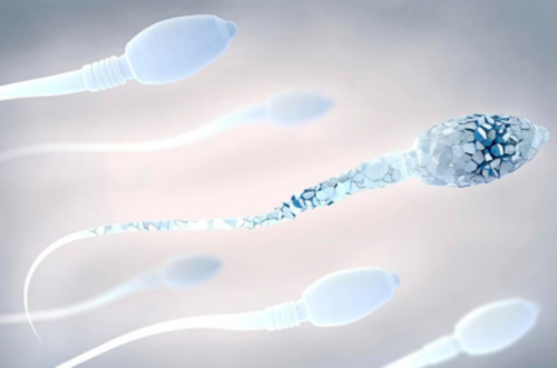 试管取卵过程疼痛感如何？专家全面解析助孕细节