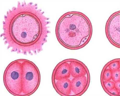 大连第三代试管婴儿费用解析与医院选择指南
