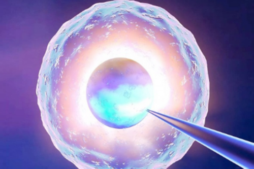 供卵试管包生男孩的全面指南与助孕服务