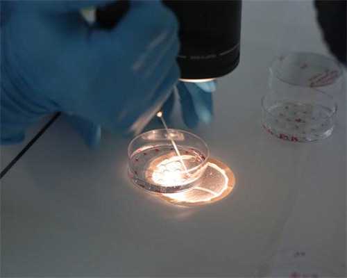 大连试管婴儿专家推荐：二院权威医生与助孕指南