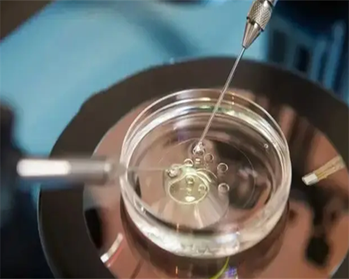 大连三代试管婴儿技术解析与成功率影响因素