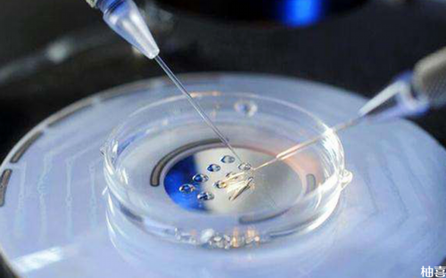 大连市中医医院二代试管包生男孩成功率解析及助孕指南