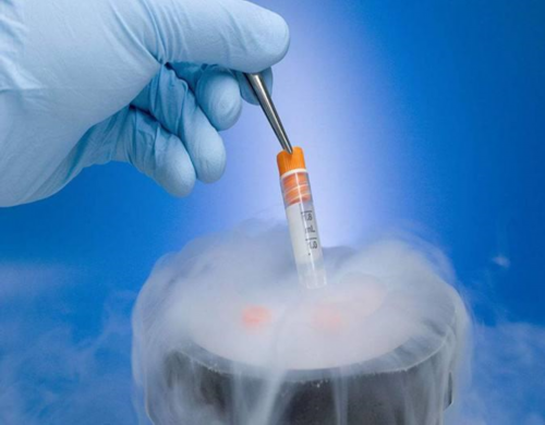 2026大连三代试管婴儿医院权威榜单与助孕机构推荐