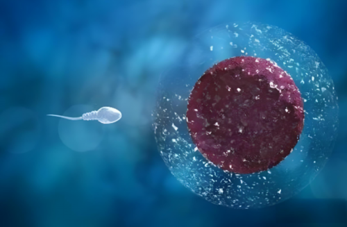 大连三代试管婴儿费用、医院排名及生男孩可行性解析