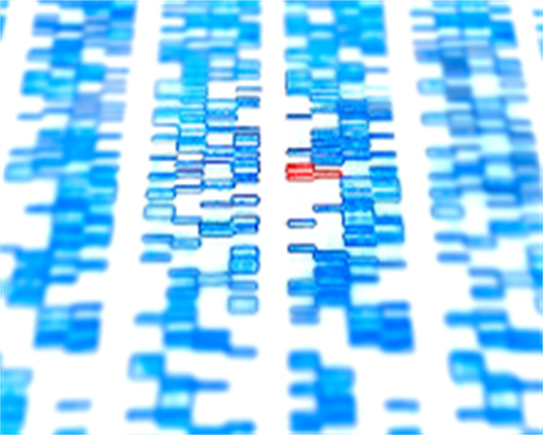 辽宁地区试管婴儿医院及供卵机构全解析：费用与地址详细指南