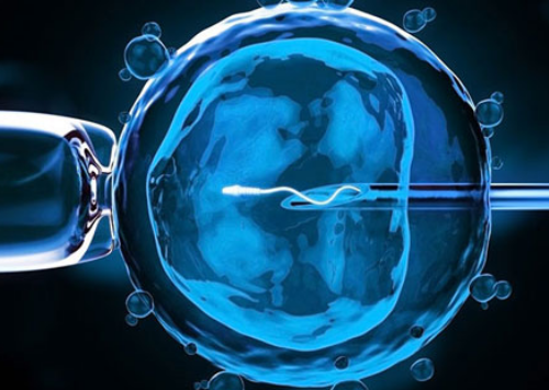 2026年试管婴儿移植费用详解与医院选择指南