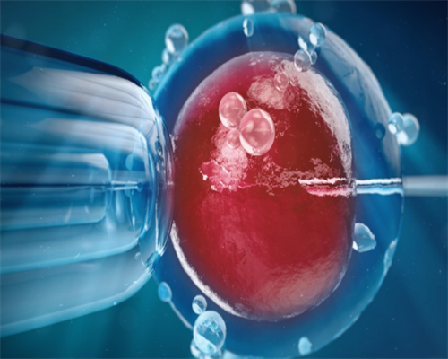 大连地区精子库与卵子库分布及服务扩展，助孕需求激增