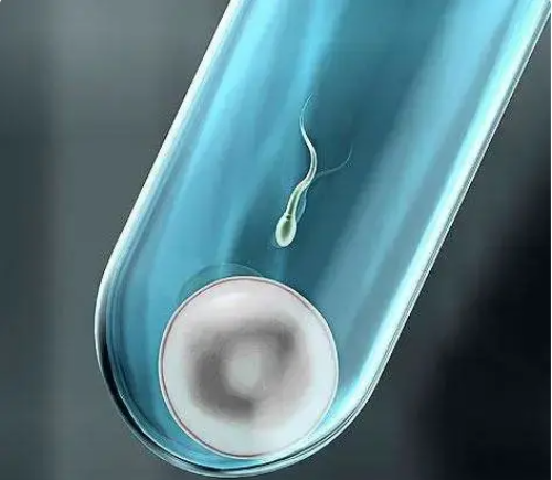 <strong>专业供卵与辅助生殖服务解析</strong>