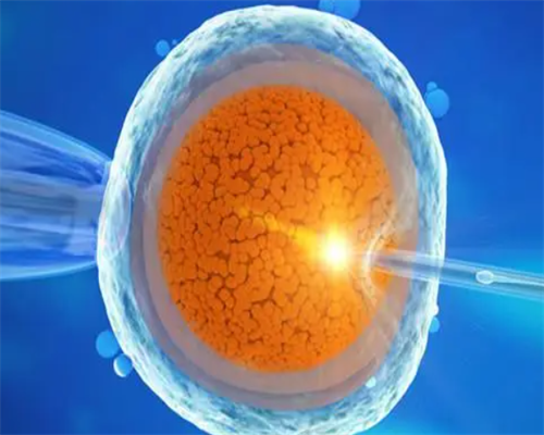 人类精子库与辅助生殖技术简介