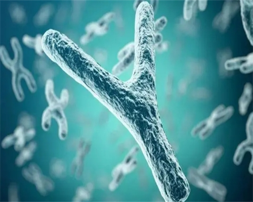 2026年试管婴儿费用及助孕指南