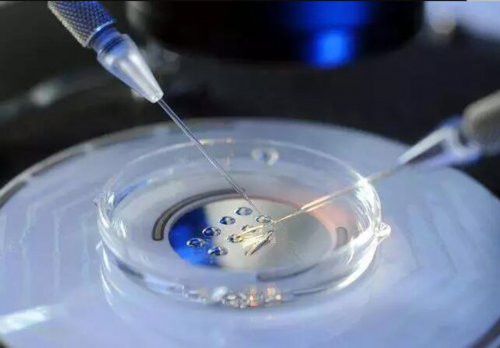 试管供卵短租服务优势与费用解析