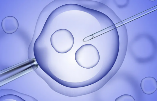 大连妇产医院试管婴儿费用明细及代生助孕指南